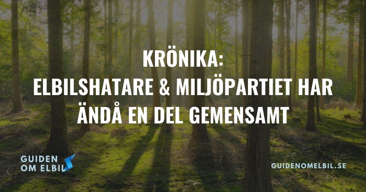 Krönika: Elbilshatarna och Miljöpartiet har ändå en del gemensamt – bild 1 av 1